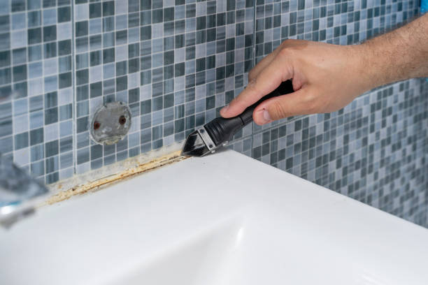 Best Attic Mold Removal  in Granville, OH
